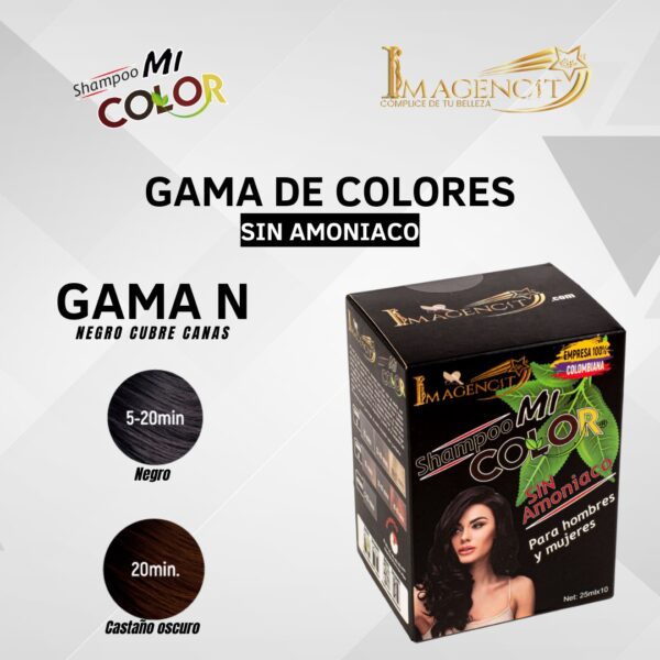 SHAMPOO CUBRE CANAS COLOR NEGRO