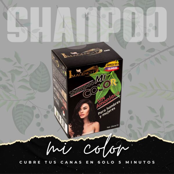 SHAMPOO CUBRE CANAS COLOR NEGRO