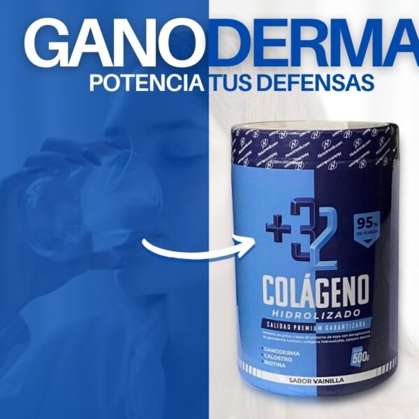 COLAGENO HIDROLIZADO  CON GANODERMA x 2