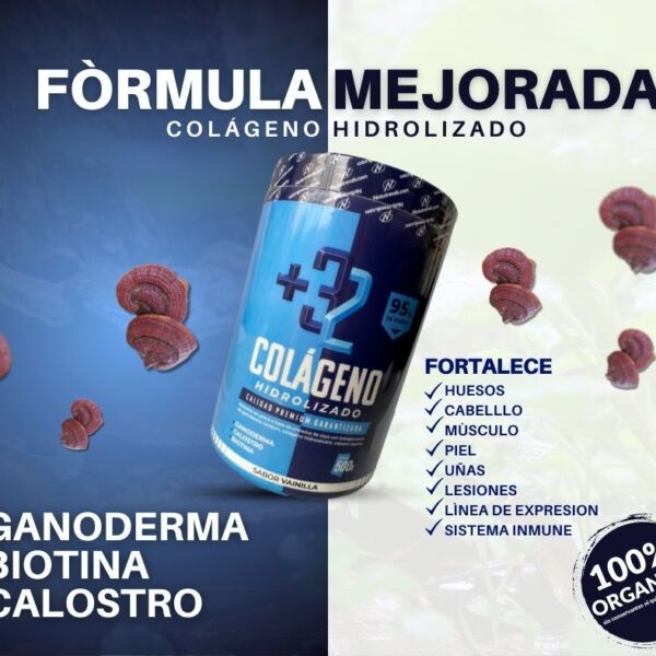 COLAGENO HIDROLIZADO  CON GANODERMA x 2